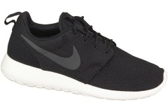 спортивная мужская обувь Nike Rosherun